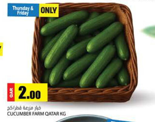 Cucumber from Qatar available at جراند هايبرماركت in قطر - الضعاين