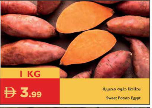 Sweet Potato from Egypt available at إسطنبول سوبرماركت in الإمارات العربية المتحدة , الامارات - أبو ظبي