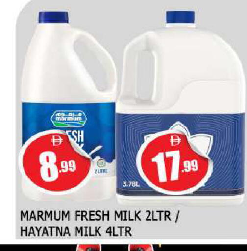 available at المدينة in الإمارات العربية المتحدة , الامارات - الشارقة / عجمان