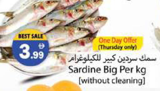 available at Gulf Hypermarket LLC in UAE - Ras al Khaimah