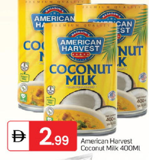 Coconut available at TALAL MARKET in UAE - Fujairah