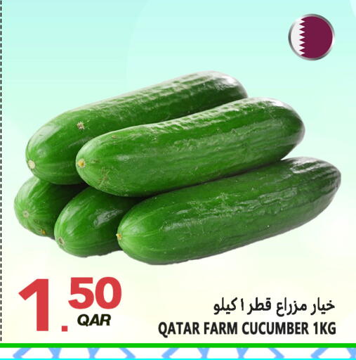 Cucumber available at Food Palace Hypermarket in Qatar - Umm Salal