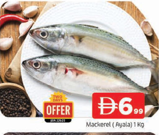 available at المدينة in الإمارات العربية المتحدة , الامارات - الشارقة / عجمان