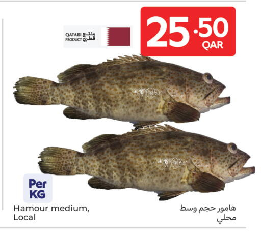 available at Carrefour in Qatar - Al Daayen