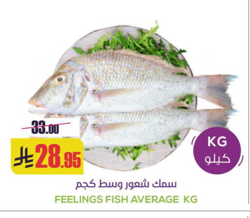 available at سبت in مملكة العربية السعودية, السعودية, سعودية - بريدة
