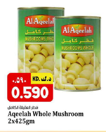 Mushroom available at Kabayan HyperMarket in Kuwait - Kuwait City