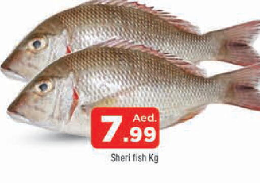 available at المدينة in الإمارات العربية المتحدة , الامارات - الشارقة / عجمان