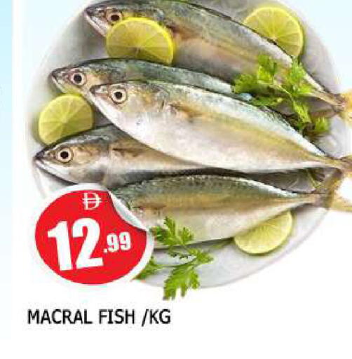 available at AL MADINA in UAE - Sharjah / Ajman