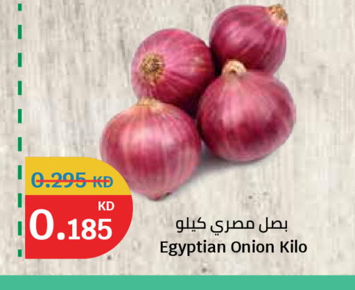 Onion from Egypt available at سيتي هايبرماركت in الكويت - محافظة الأحمدي
