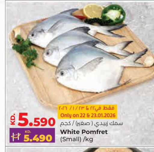 available at لولو هايبر ماركت in الكويت - محافظة الجهراء