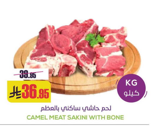 available at سبت in مملكة العربية السعودية, السعودية, سعودية - بريدة