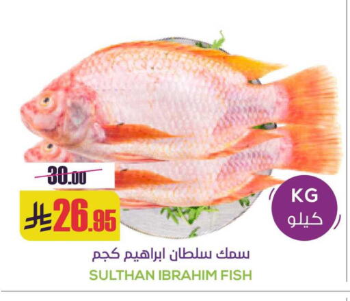 available at سبت in مملكة العربية السعودية, السعودية, سعودية - بريدة