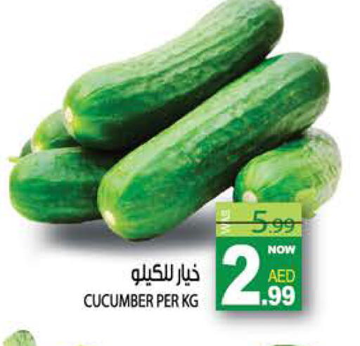 Cucumber available at هاشم هايبرماركت in الإمارات العربية المتحدة , الامارات - الشارقة / عجمان