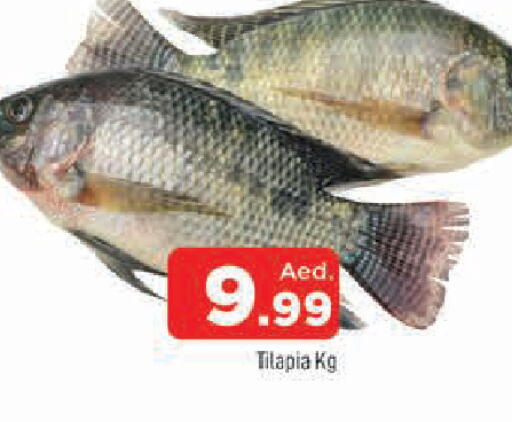 available at المدينة in الإمارات العربية المتحدة , الامارات - الشارقة / عجمان