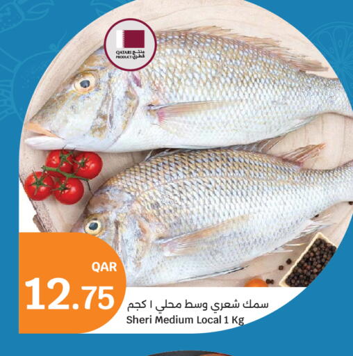 available at سيتي هايبرماركت in قطر - أم صلال