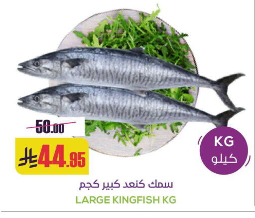 available at سبت in مملكة العربية السعودية, السعودية, سعودية - بريدة