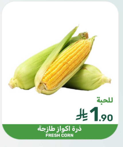 available at Mazaya in KSA, Saudi Arabia, Saudi - Dammam