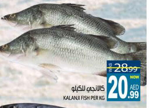 available at Hashim Hypermarket in UAE - Sharjah / Ajman