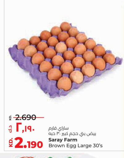 available at لولو هايبر ماركت in الكويت - محافظة الأحمدي