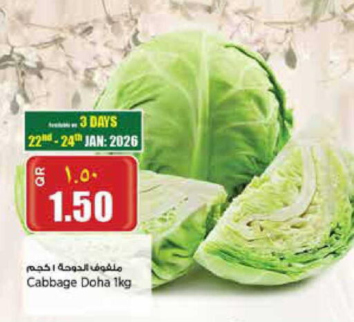 Cabbage from Qatar available at Retail Mart in Qatar - Umm Salal