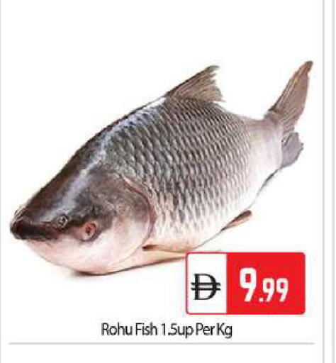 available at بيج مارت in الإمارات العربية المتحدة , الامارات - أبو ظبي