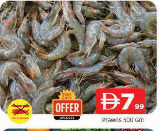 available at المدينة in الإمارات العربية المتحدة , الامارات - الشارقة / عجمان