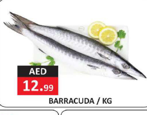 available at  RIVIERA SUPERMARKET L.L.C in UAE - Abu Dhabi