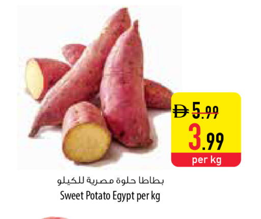 Sweet Potato from Egypt available at السفير ماركت in الإمارات العربية المتحدة , الامارات - أبو ظبي