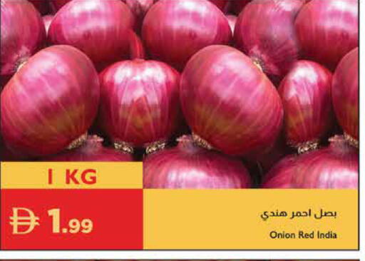 Onion from India available at Istanbul Supermarket in UAE - Sharjah / Ajman