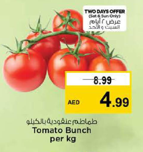 Tomato available at نستو هايبرماركت in الإمارات العربية المتحدة , الامارات - الشارقة / عجمان