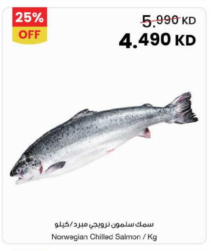 available at مركز سلطان in الكويت - محافظة الجهراء