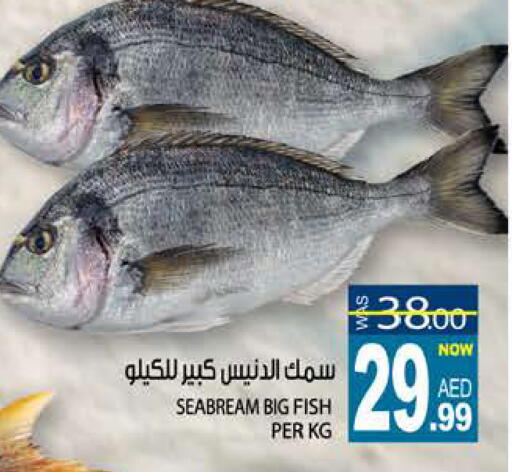 available at هاشم هايبرماركت in الإمارات العربية المتحدة , الامارات - الشارقة / عجمان