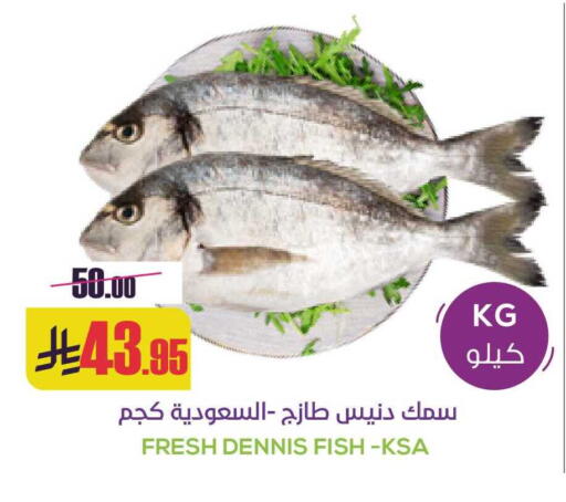 available at سبت in مملكة العربية السعودية, السعودية, سعودية - بريدة