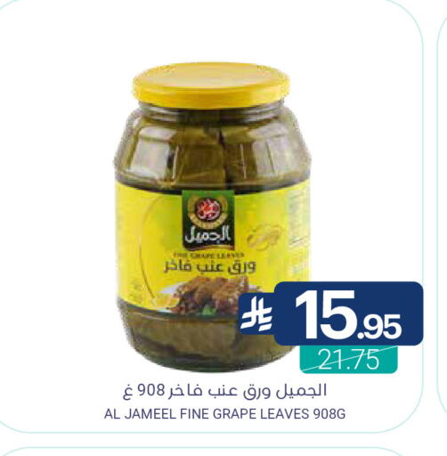 available at اسواق المنتزه in مملكة العربية السعودية, السعودية, سعودية - القطيف‎