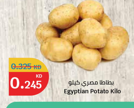 Potato from Egypt available at سيتي هايبرماركت in الكويت - محافظة الأحمدي