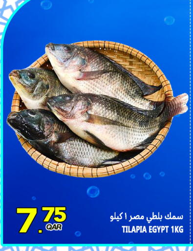 available at قصر الأغذية هايبرماركت in قطر - الدوحة