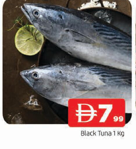 available at المدينة in الإمارات العربية المتحدة , الامارات - الشارقة / عجمان