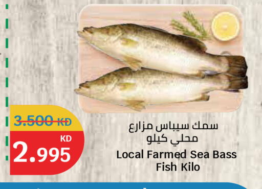 available at سيتي هايبرماركت in الكويت - مدينة الكويت