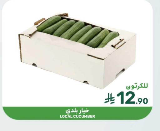 Cucumber available at  مـزايــا in مملكة العربية السعودية, السعودية, سعودية - سيهات
