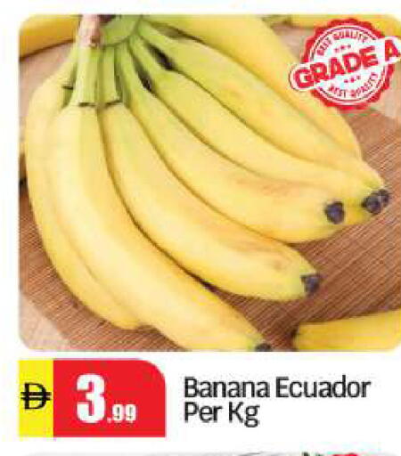 Banana from Ecuador available at BIGmart in UAE - Abu Dhabi