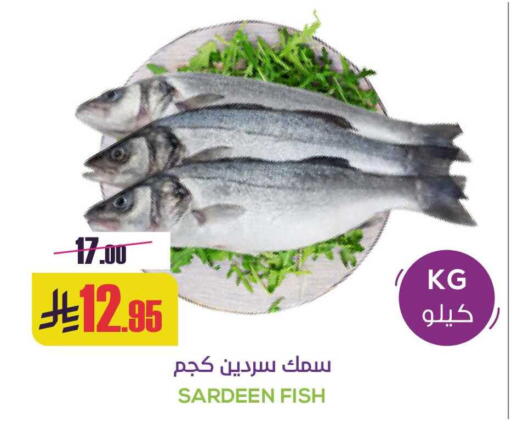 available at سبت in مملكة العربية السعودية, السعودية, سعودية - بريدة