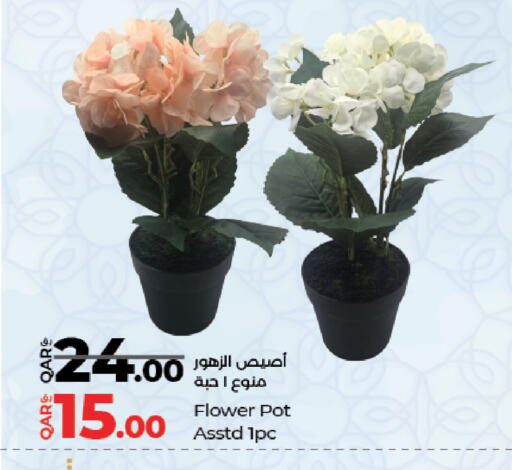 available at لولو هايبرماركت in قطر - الريان