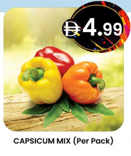 Capsicum available at صفا اكسبريس سوبرماركت in الإمارات العربية المتحدة , الامارات - ٱلْعَيْن‎