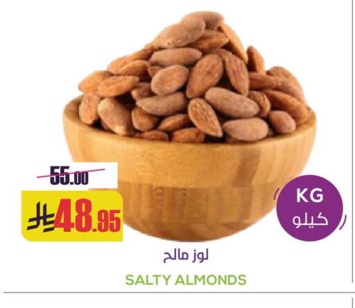 available at Sapt in KSA, Saudi Arabia, Saudi - Buraidah