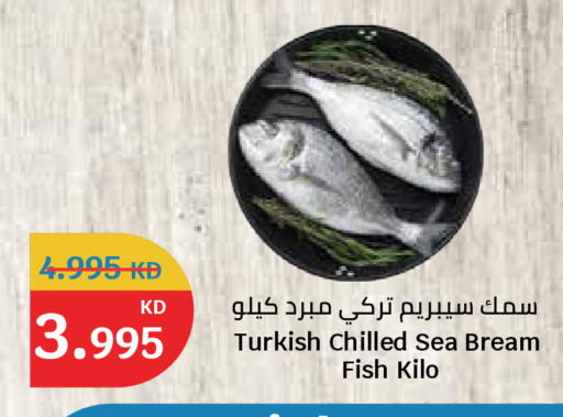 available at سيتي هايبرماركت in الكويت - محافظة الجهراء