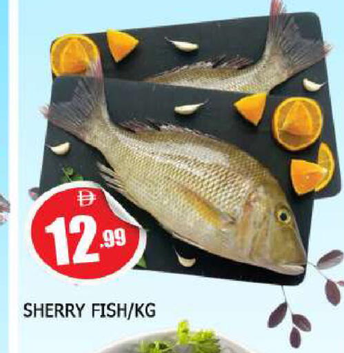 available at AL MADINA in UAE - Sharjah / Ajman