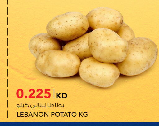 Potato from Lebanon available at  ALNASSER HYPERMARKET in Kuwait - Kuwait City