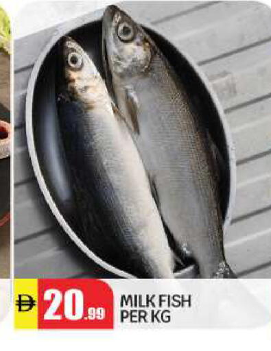 available at بيج مارت in الإمارات العربية المتحدة , الامارات - أبو ظبي