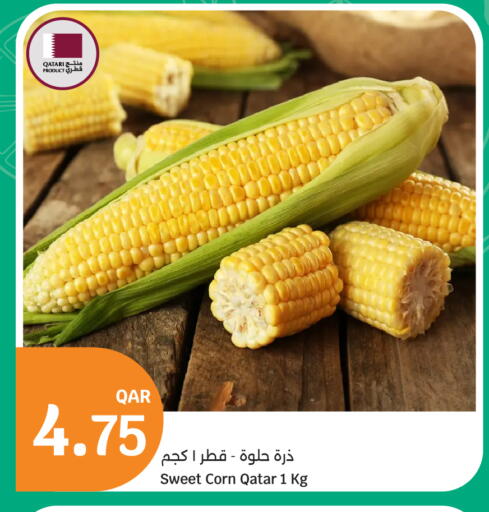 from Qatar available at City Hypermarket in Qatar - Al-Shahaniya