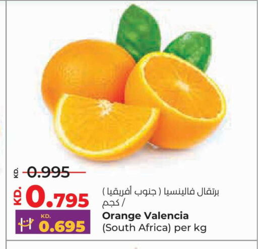 Orange from South Africa available at لولو هايبر ماركت in الكويت - محافظة الجهراء